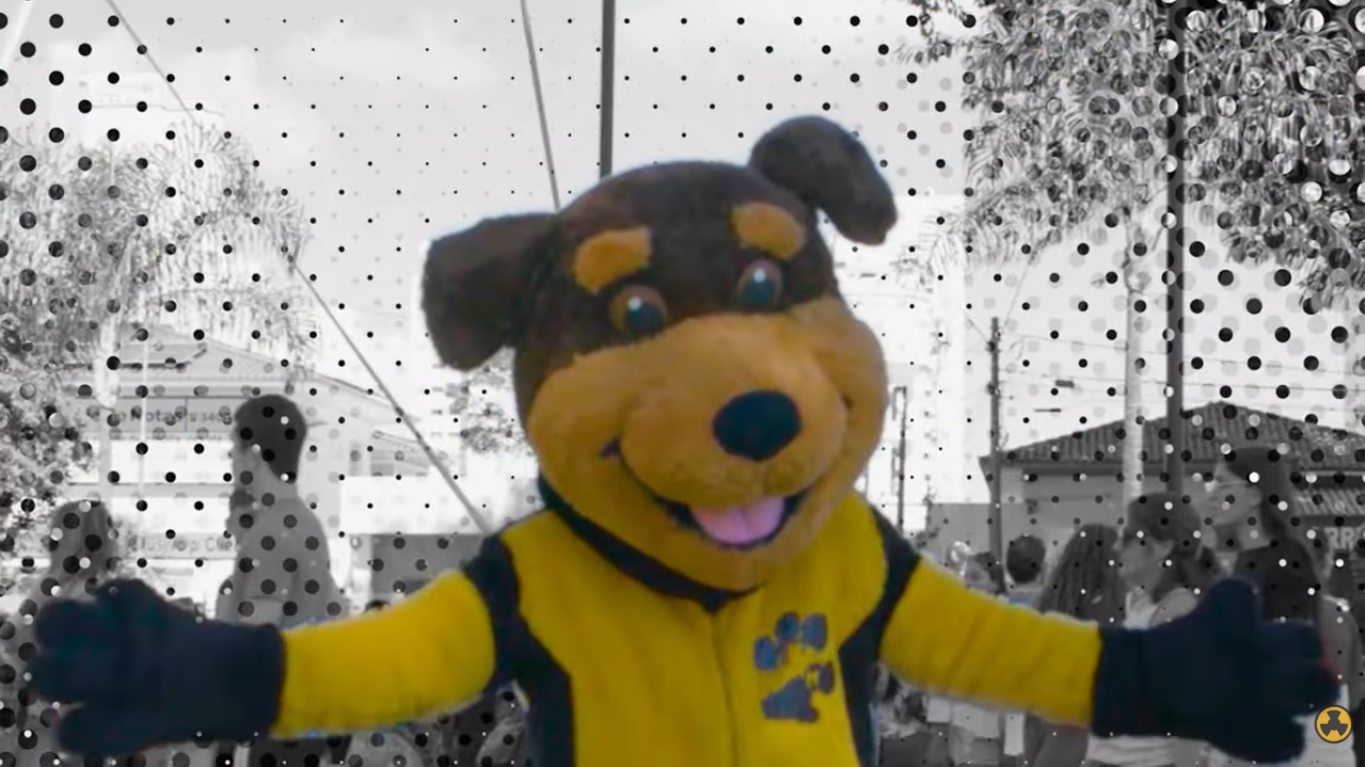 Assista: Pitucão no Desfile de 97 anos de Marília | Cidade que Cuida e Protege 🐾